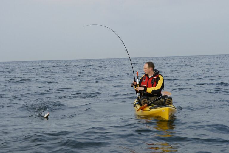 Meeresangeln - Kalles Angelshop Neustadt.