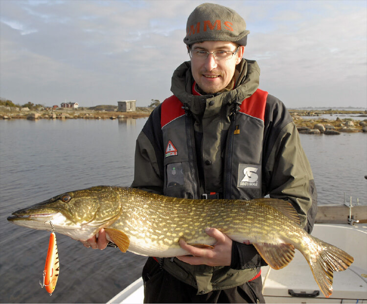 Daniel Grell hat am 1.11.2011 auf Jerk Bait in Karlskrona Schären in Schweden einen stolzen 105 cm Hecht gefangen